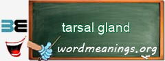 WordMeaning blackboard for tarsal gland